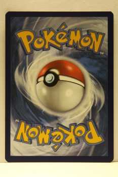 Potion (Trank) | 177/202 | Schwert & Schild | Englisch | Uncommon | Non-Holo | Pokémon